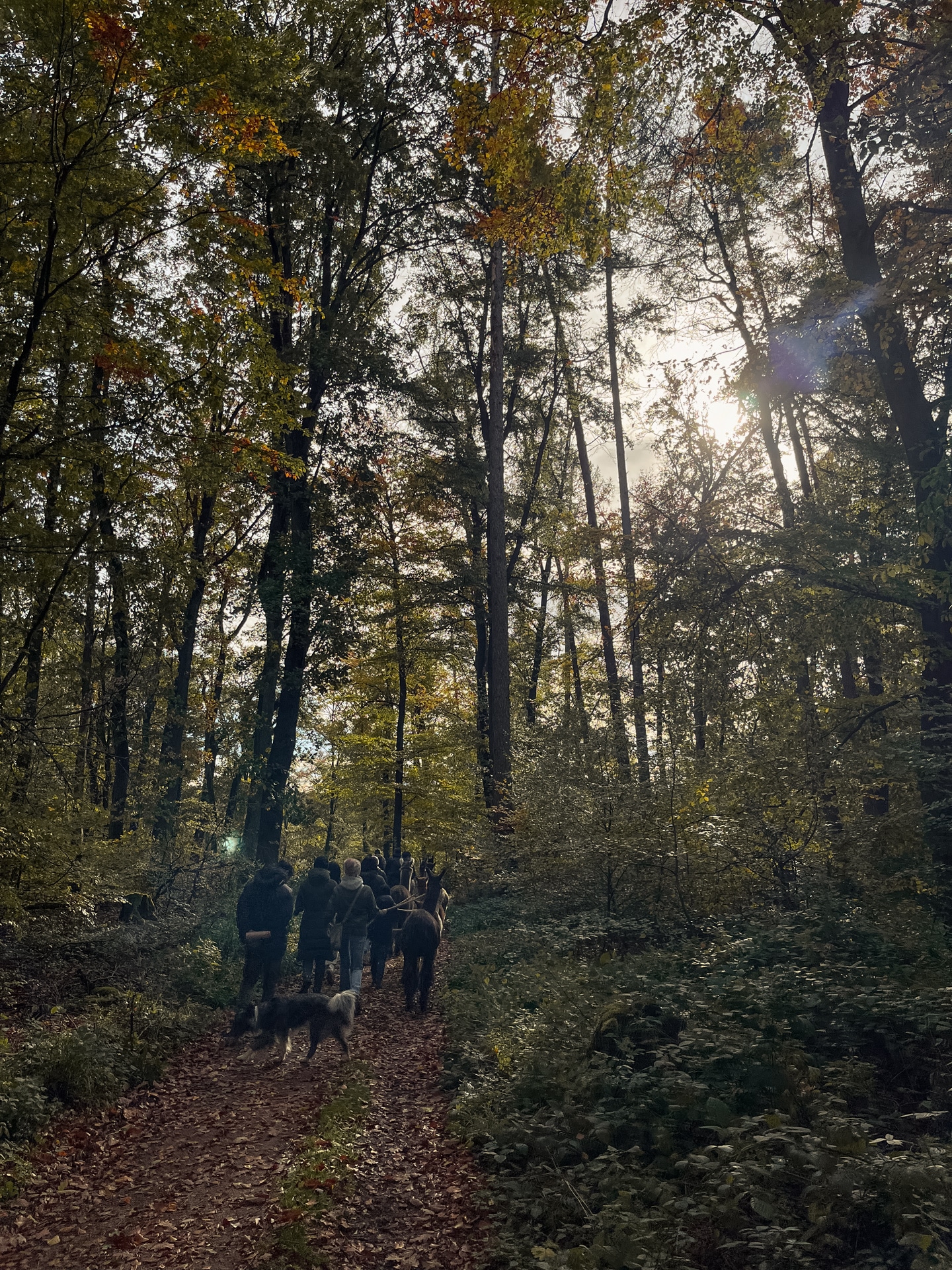 waldbaden