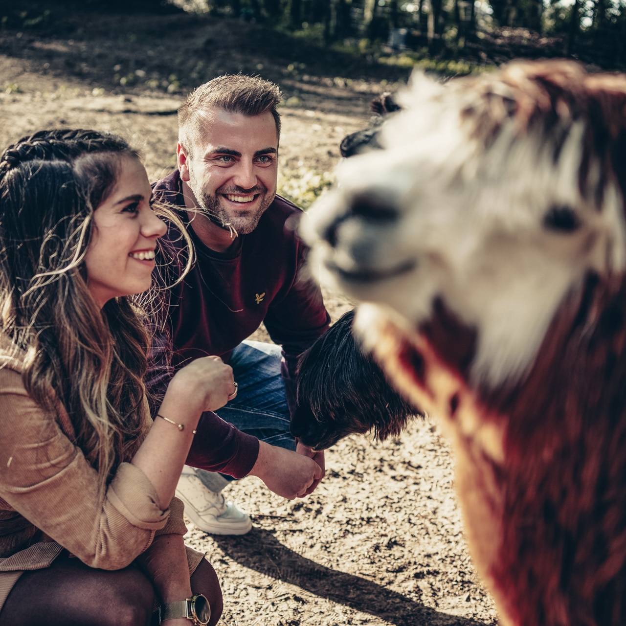 Firmen und Arbeitgeber