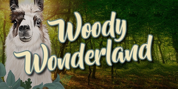 Woody Wonderland
