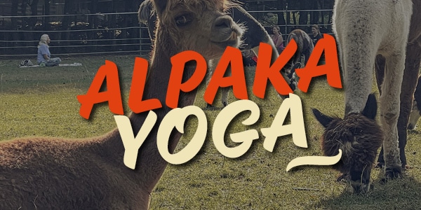 Alpaka Yoga